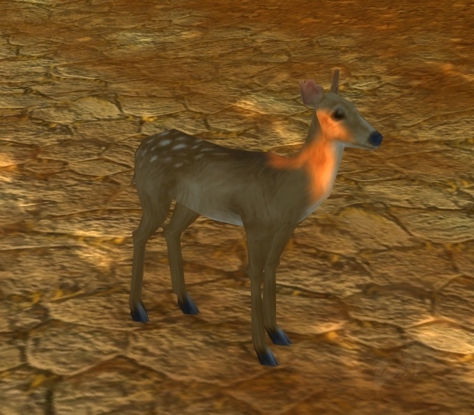 Deer Screenshot