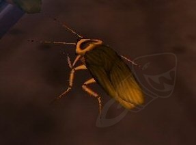 Cockroach Screenshot