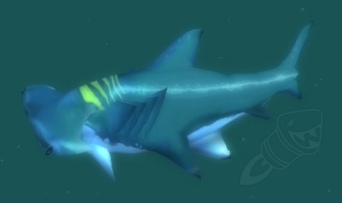 Reef Shark Screenshot