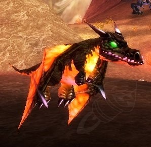 Black Dragon Whelpling Screenshot