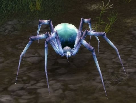 Pygmy Venom Web Spider Screenshot