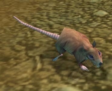 Dig Rat Screenshot