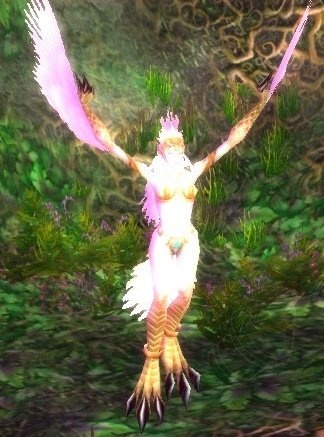 Bloodfeather Wind Witch Screenshot