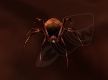 Plagued Insect Screenshot