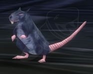 Deeprun Rat Screenshot