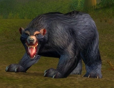 Elder Black Bear Screenshot