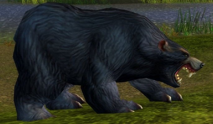 Black Bear Patriarch Screenshot