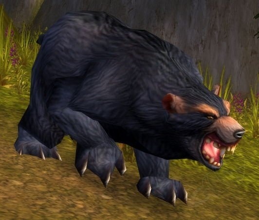 Grizzled Black Bear Screenshot