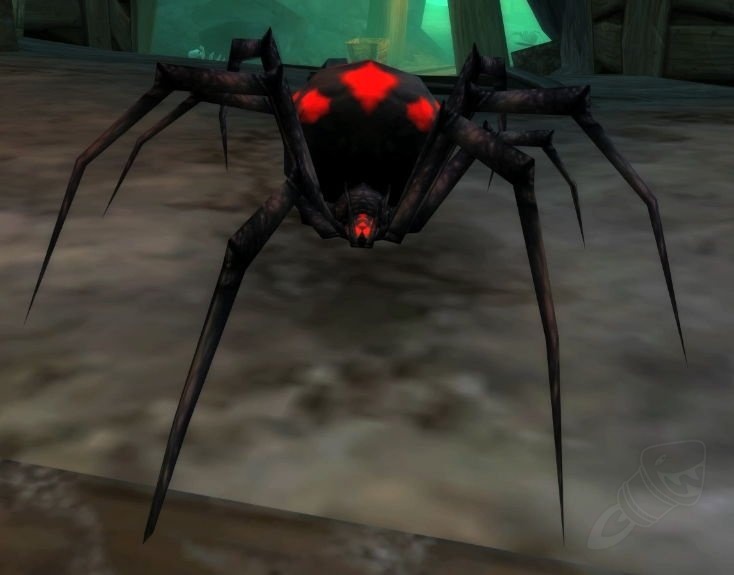 Night Web Spider Screenshot