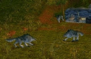 Gray Forest Wolf Screenshot