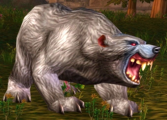 Elder Gray Bear Screenshot