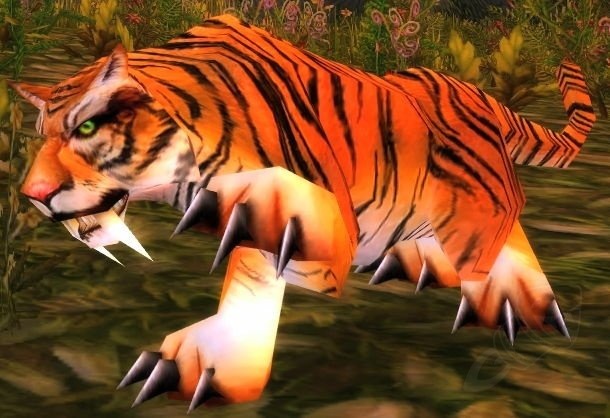 Young Stranglethorn Tiger Screenshot