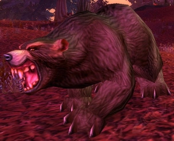 Elder Brown Bear Screenshot