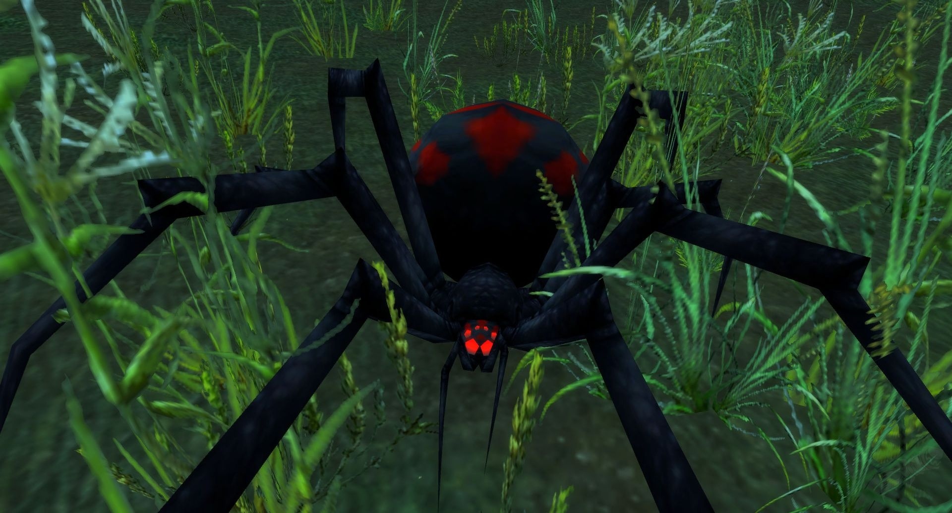 Black Widow Hatchling Screenshot