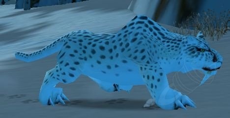 Juvenile Snow Leopard Screenshot