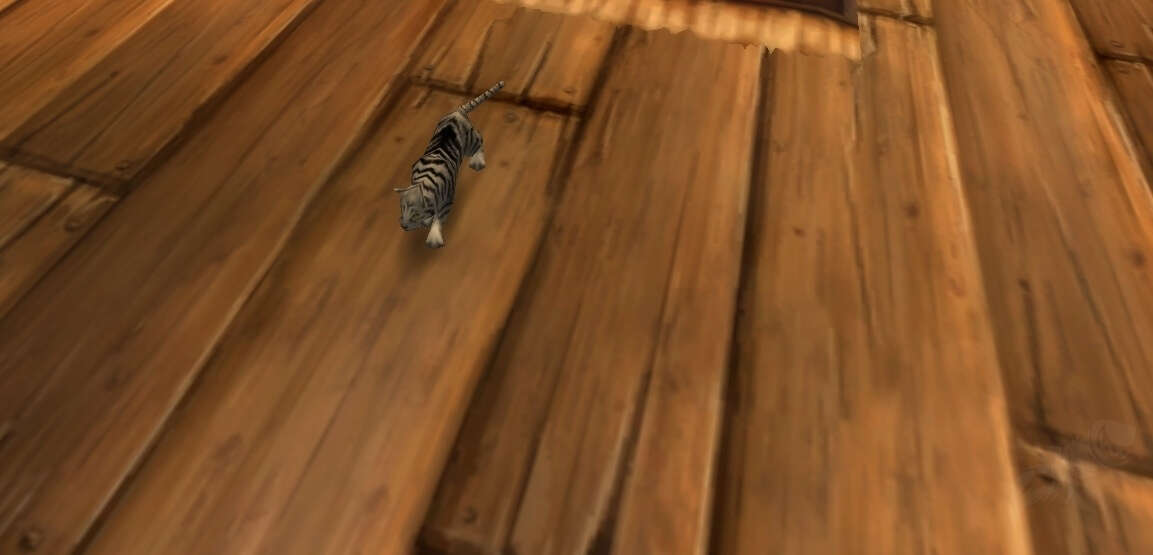 Silver Tabby Cat Screenshot