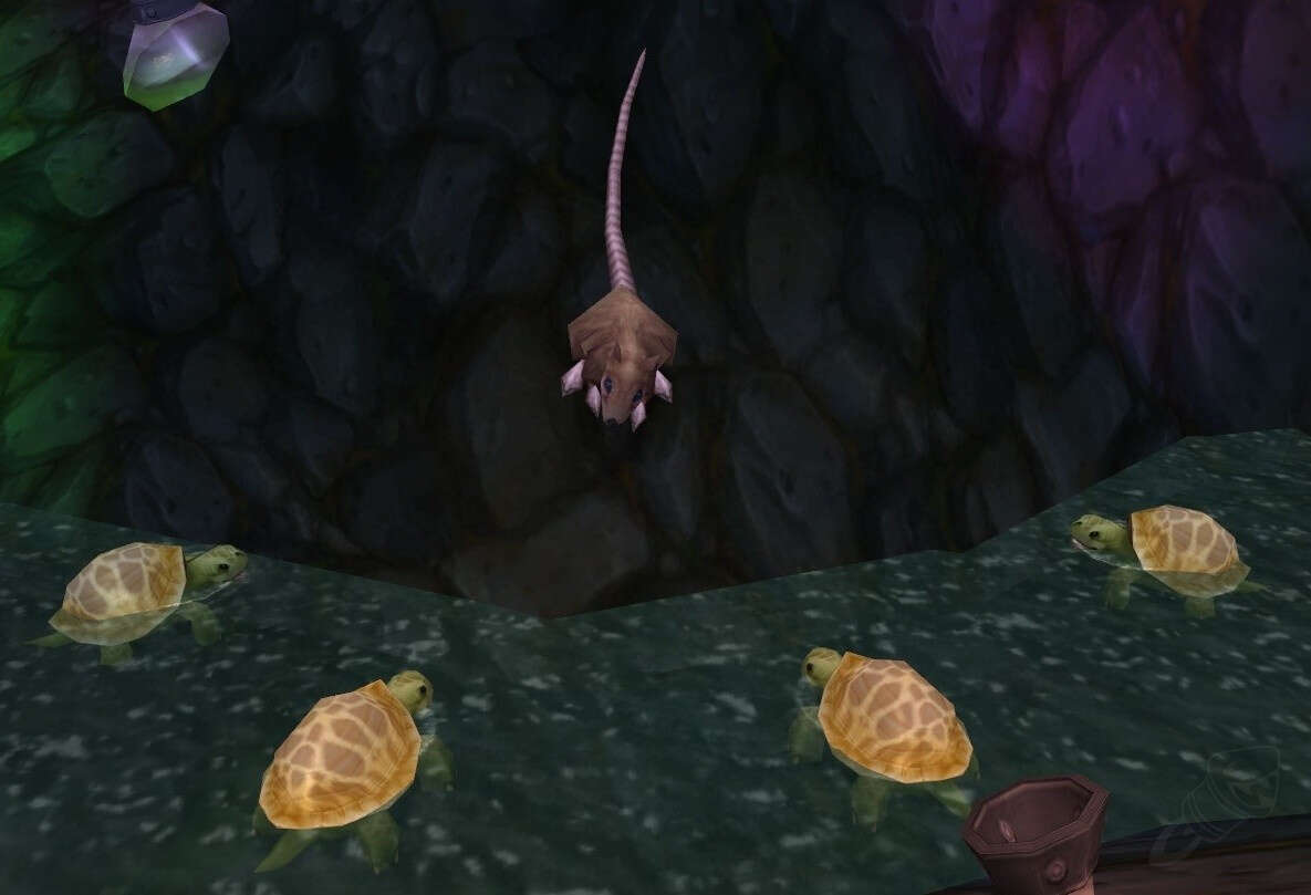 Dalaran Sewer Turtle Screenshot