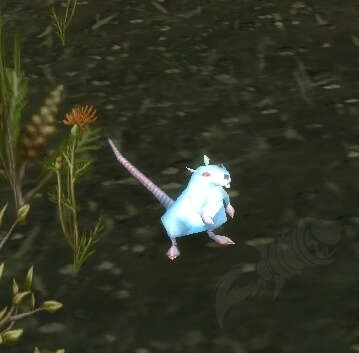 Rat Screenshot