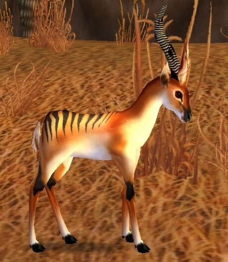 Gazelle Screenshot