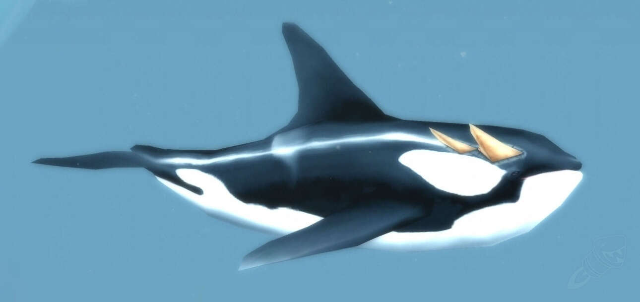 Glimmer Bay Orca Screenshot