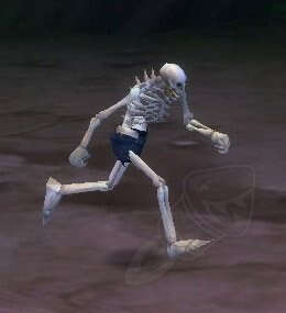 Splinterbone Skeleton Screenshot