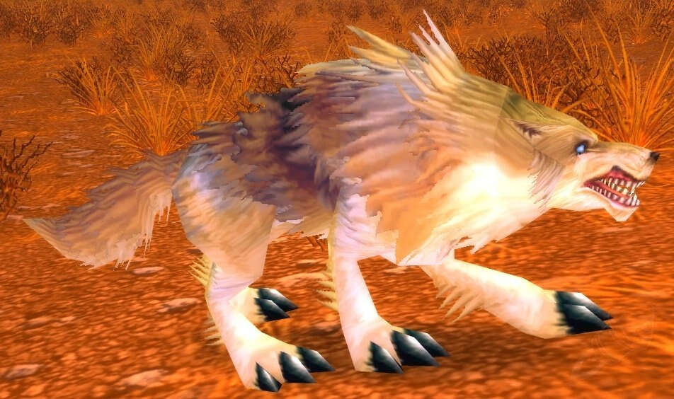 Coyote Screenshot