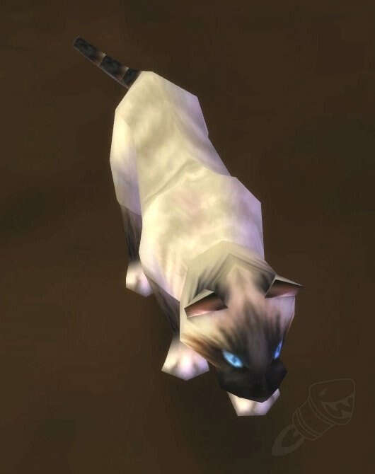 Siamese Cat Screenshot