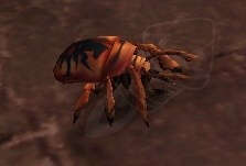 Beetle Screenshot