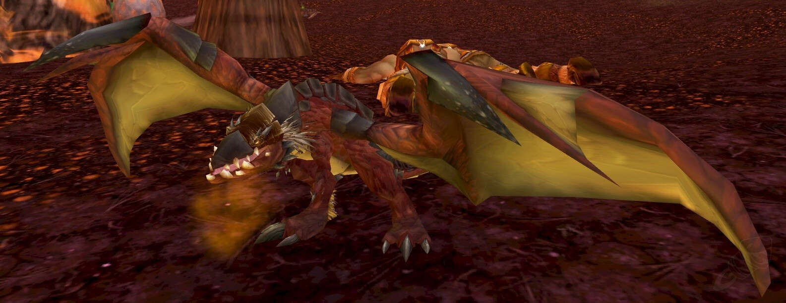 Tamed Proto-Whelp Screenshot