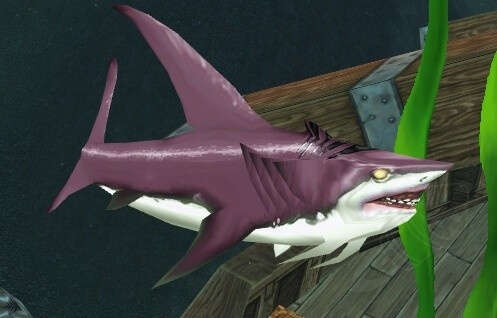 Great Reef Shark Screenshot