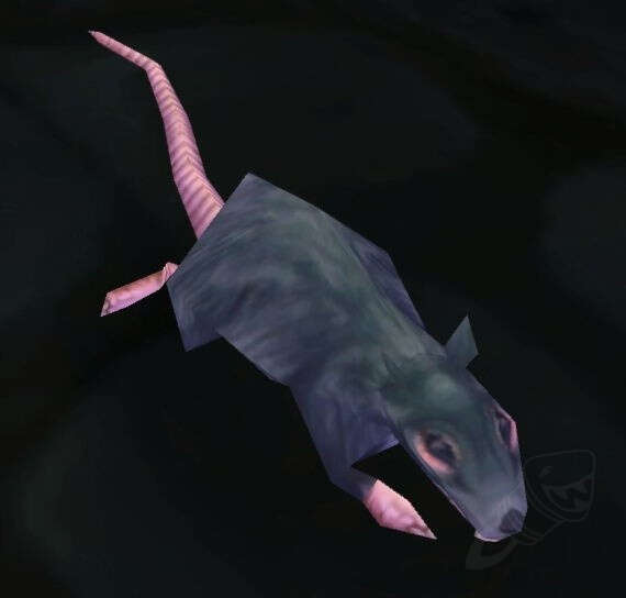 Underbelly Rat Screenshot